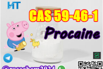 8615355326496 Big Sale Procaine CAS 59461 Samples available